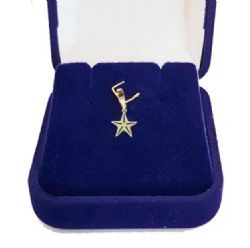 Pingente Estrela do Mar Ouro 18 Quilates 1cm Ls